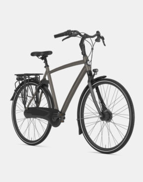 Gazelle Chamonix C8 Fahrrad – Rahmengröße H53 – Stone Brown