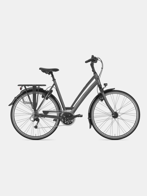 Fahrräder_Gazelle_Chamonix_T30_Fahrrad_Rahmengröße_D53_Titanium_Grey_01