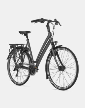 Gazelle Chamonix T30 Fahrrad – Rahmengröße D53 – Titanium Grey